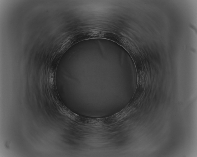 X0000091921154200709191334