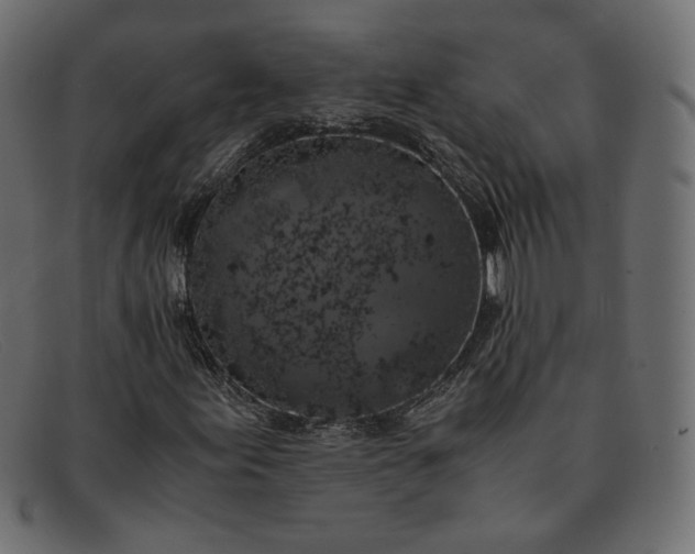 X0000091921155200709191334