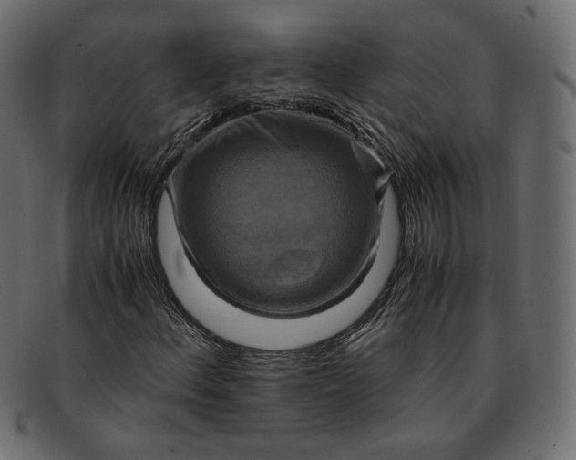 X0000091921156200709191334