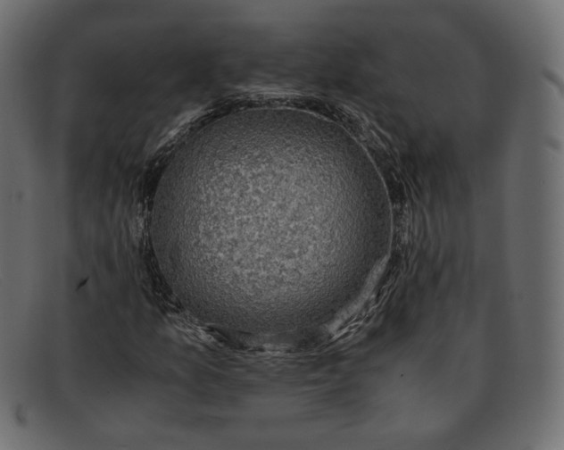 X0000091921157200709191334