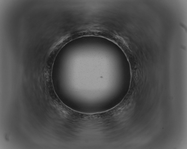 X0000091921159200709191334