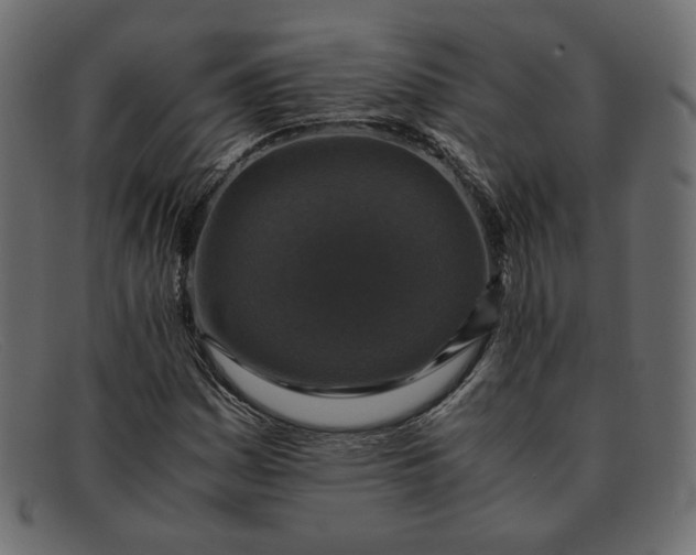 X0000091921161200709191334