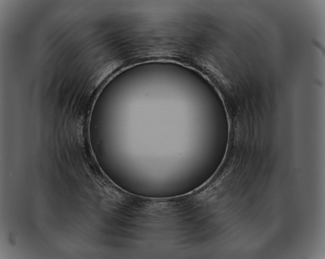 X0000091921162200709191334