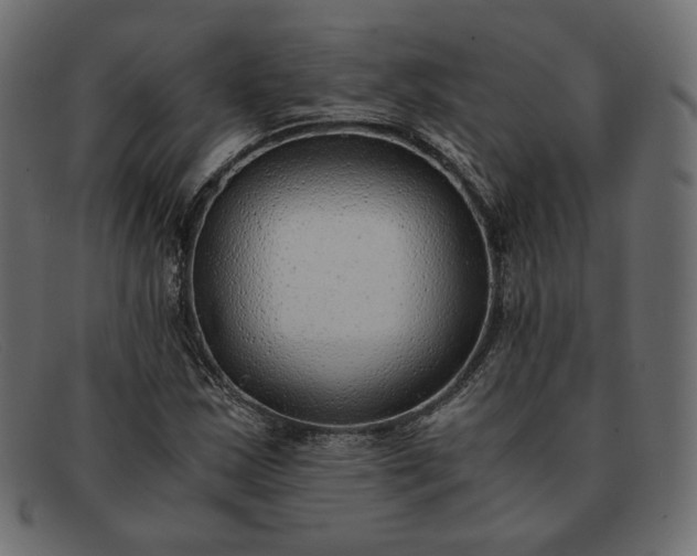 X0000091921163200709191334
