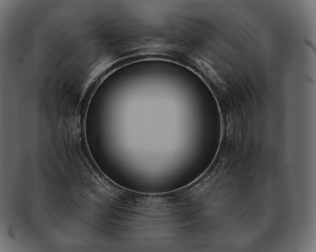X0000091921164200709191334