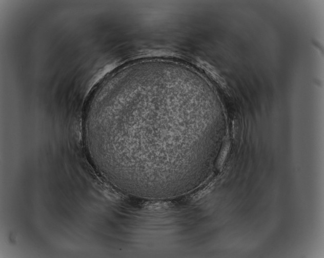 X0000091921165200709191334