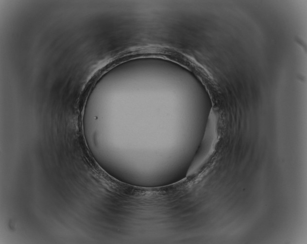 X0000091921166200709191334