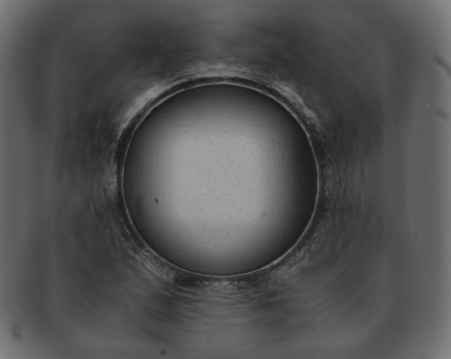 X0000091921167200709191334