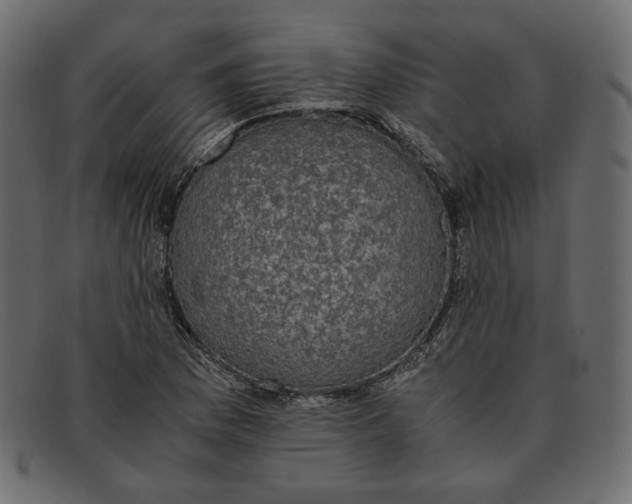 X0000091921169200709191334