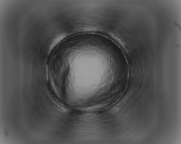 X0000091921171200709191334