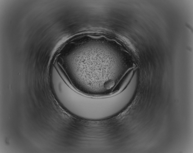 X0000091921172200709191334