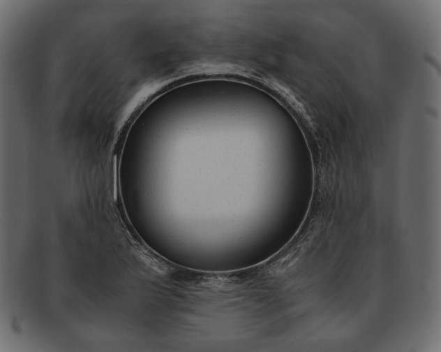X0000091921175200709191334