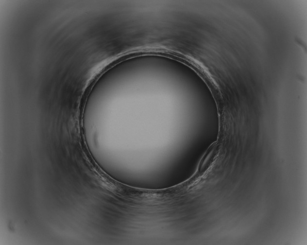 X0000091921176200709191334