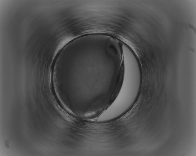 X0000091921179200709191334