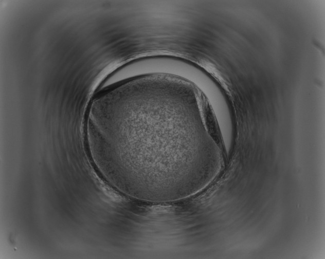 X0000091921181200709191333