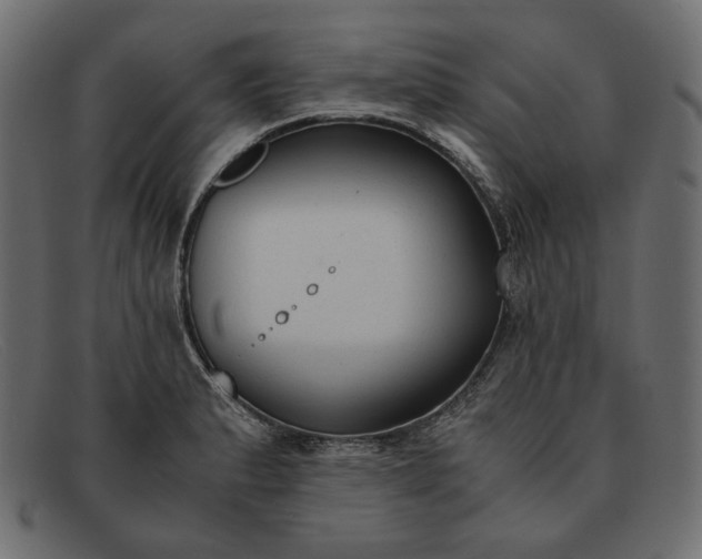 X0000091921183200709191333