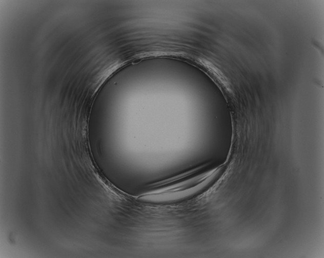 X0000091921185200709191333