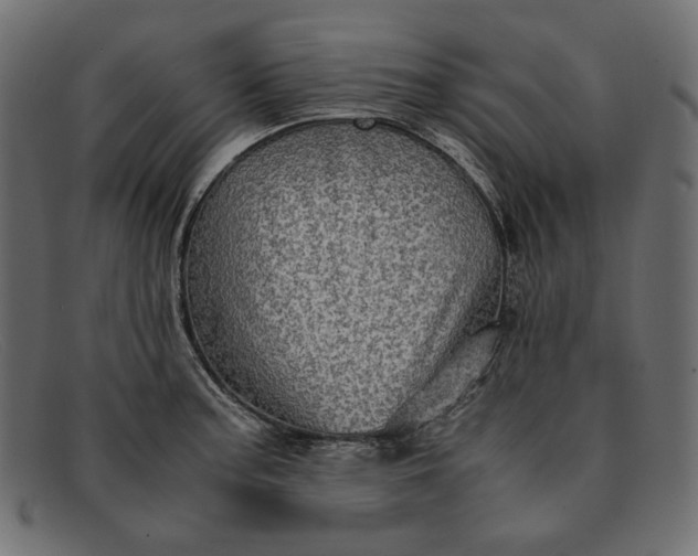 X0000091921187200709191333