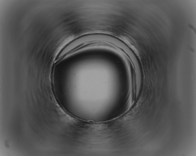 X0000091921189200709191333