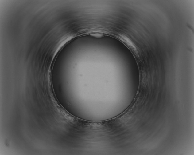 X0000091921190200709191333
