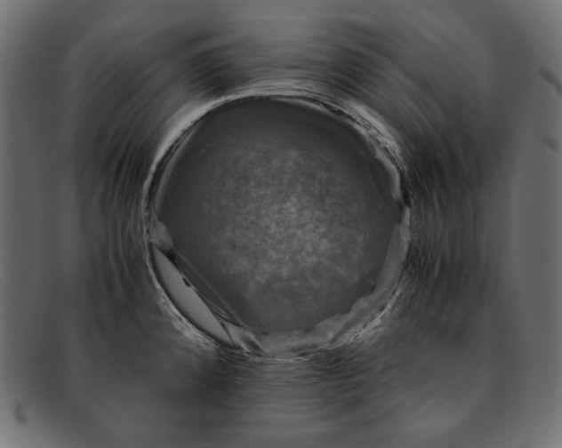 X0000091921192200709191333