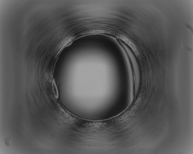 X0000091921193200709191333