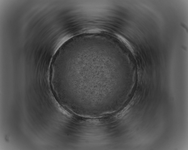 X0000091921194200709191333