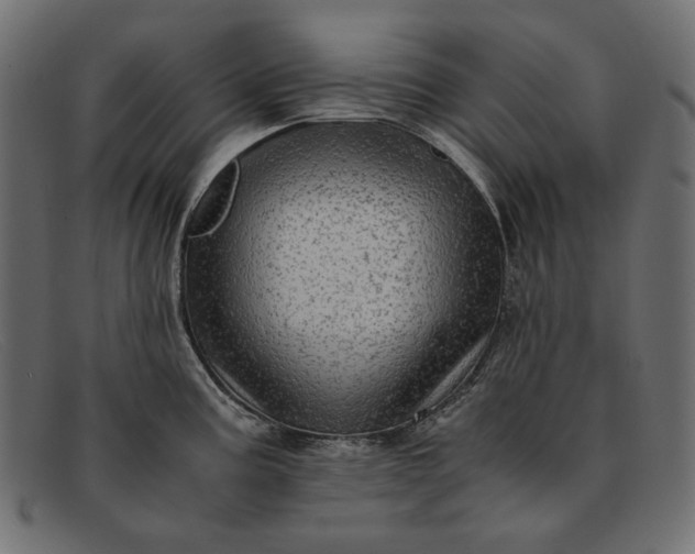 X0000091921195200709191333