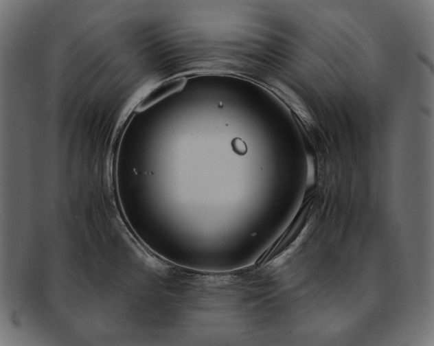 X0000091921196200709191333
