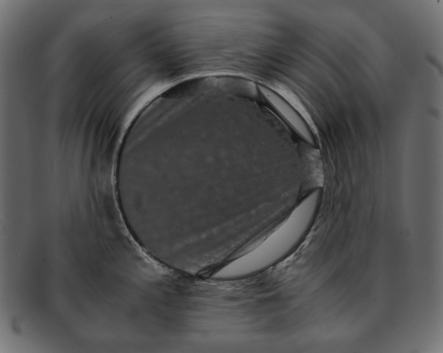 X0000091921197200709191333