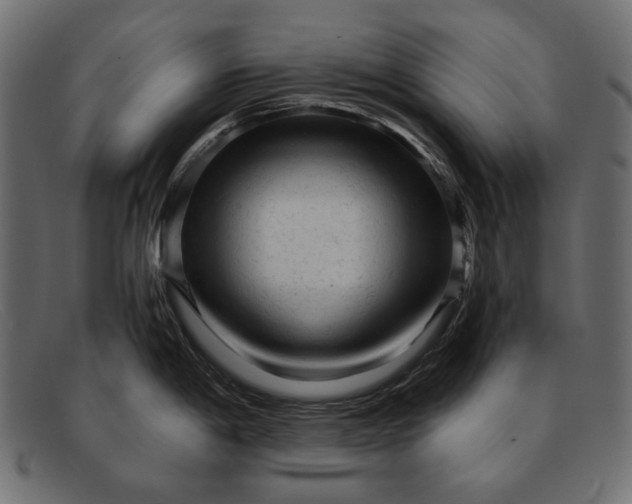 X0000091921198200709191333