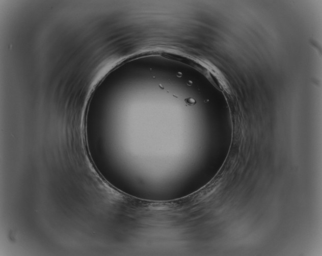 X0000091921199200709191333