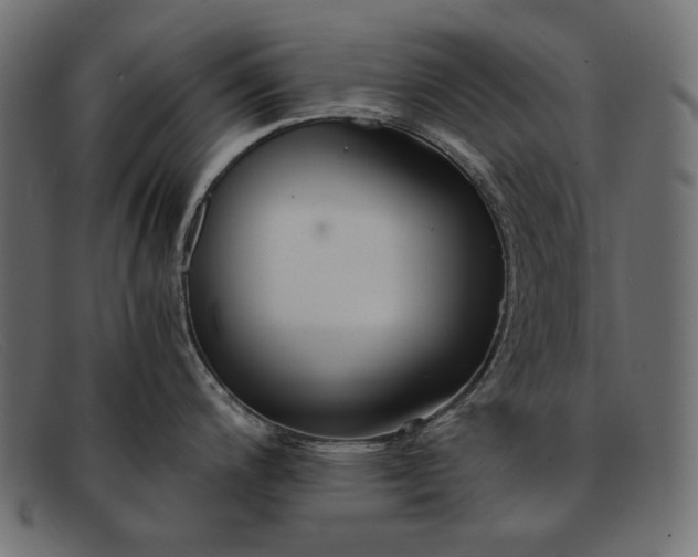 X0000091921200200709191333