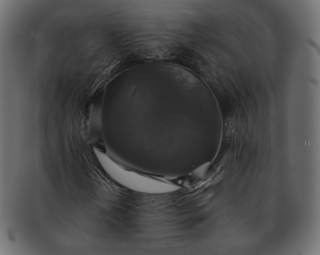 X0000091921202200709191333