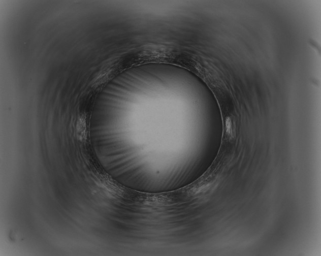 X0000091921203200709191333