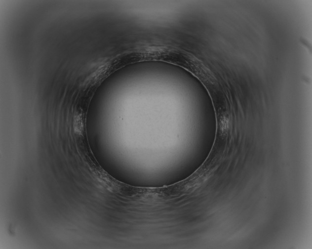X0000091921204200709191333