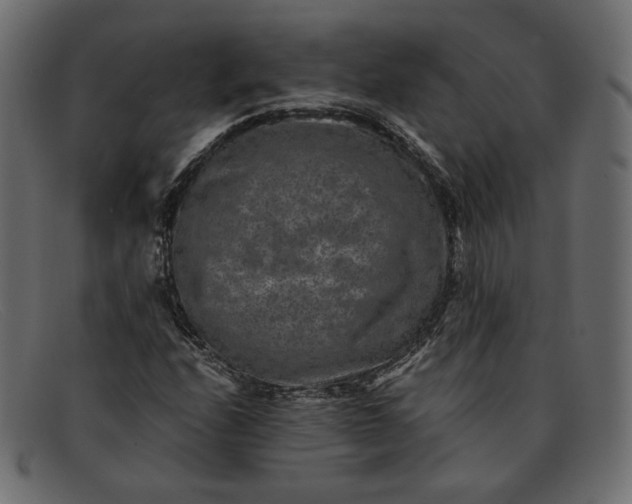 X0000091921208200709191333