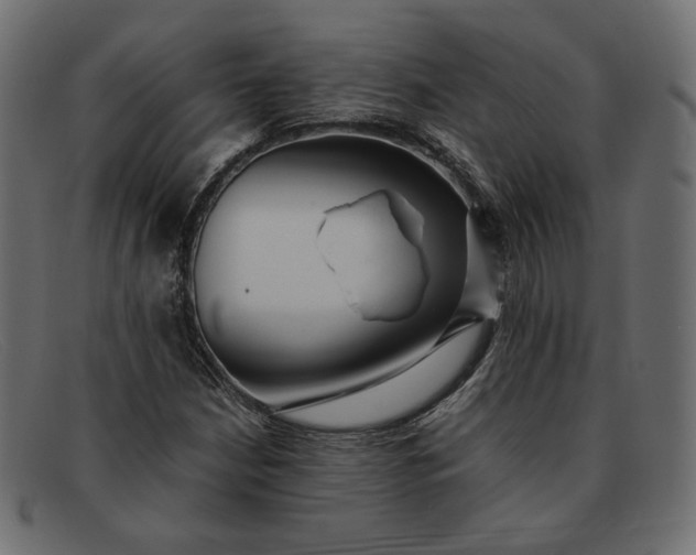 X0000091921210200709191333