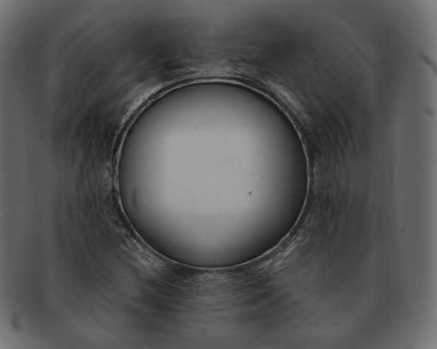 X0000091921212200709191333