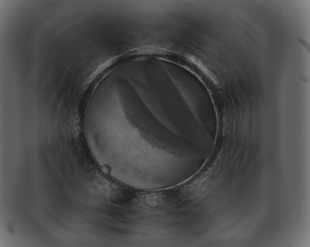 X0000091921213200709191333