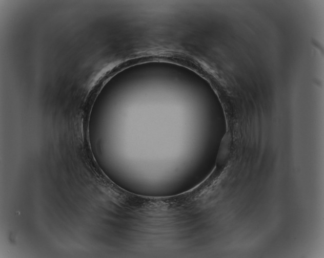 X0000091921214200709191333