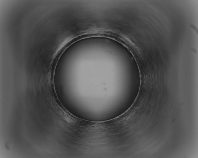 X0000091921216200709191333