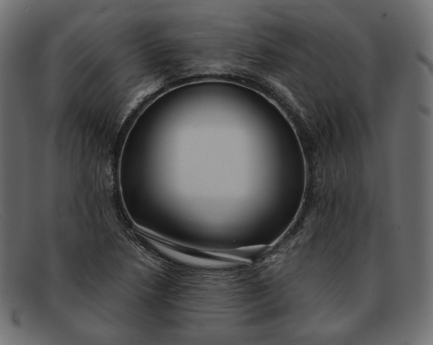X0000091921218200709191333