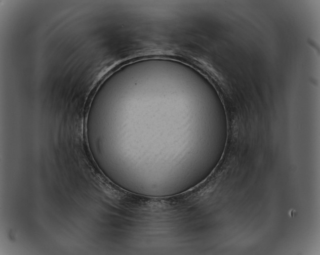X0000091921220200709191333