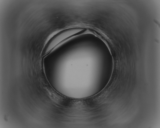 X0000091921222200709191333