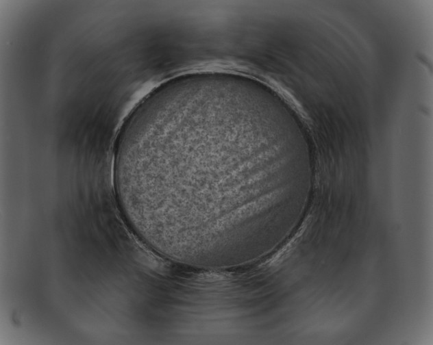 X0000091921224200709191333