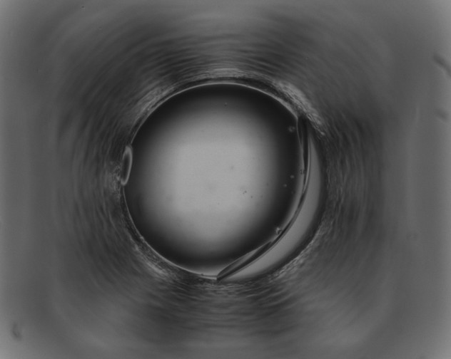 X0000091921225200709191333