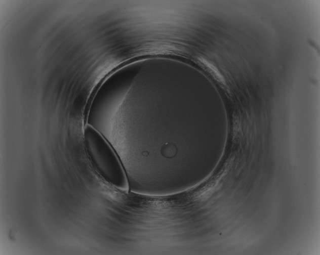 X0000091921226200709191333