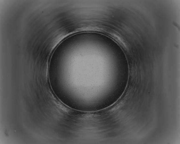 X0000091921228200709191333