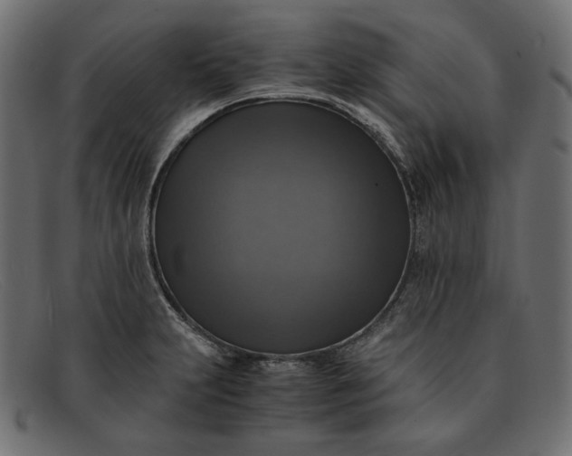 X0000091921231200709191333